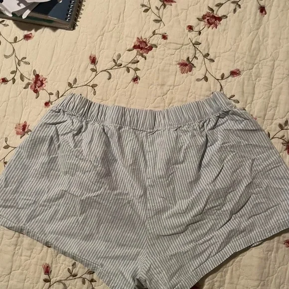 Brandy Melville Light Blue Striped Shorts - Picture 7 of 8